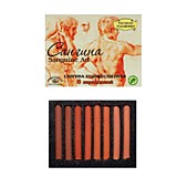 Сангина 4оттенка 8 каранд. Аква-Колор