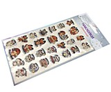 Наклейки "Лис и котик" 21*10см объёмные ПВХ CA-269