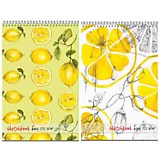 Скетчбук Полином А4 40л мет. греб, 100гр., офсет