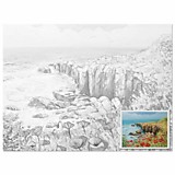 Холст грунтованный на картоне с контуром Brauberg "Цветы и море" 30*40см хлопок Art Classic