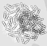 КОРРОЗИЯ! Скрепки 28мм 100шт __