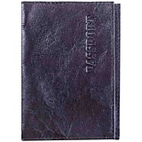 Обложка для паспорта Спейс кожа тип 1 черный