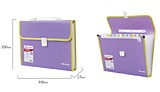 Портфель Brauberg "Joy" фиолетовый 330*245*35мм 13отд. с окант.индекс.ярлыки
