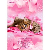 Папка-уголок А4 deVente "Right meow" непрозр. с рисунком 150мкм