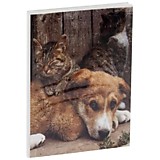 Фотоальбом 36 фото 10*15см ArtSpace "Friends" мягкая обложка