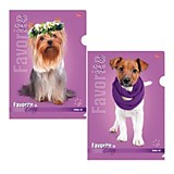 Папка-уголок А4 Hatber "Модные собаки" 0,18мм ассорти __