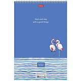 Блокнот А4 60л Hatber "Фламинго" клетка, спираль