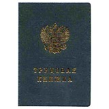 Бланк "Трудовая книжка" __