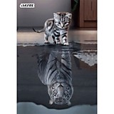 Папка-уголок А4 deVente. Котёнок (220*310мм) 150мкм, непрозрачная с рисунком