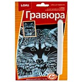 Гравюра "Обаятельный енот" Антистресс, малая