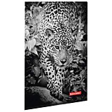 Папка-уголок А4 Brauberg "Леопард" цветная печать 150мкм __