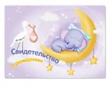 Обложка для свидетельства о рождении "Слоник" ПВХ Квадра 
